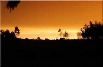 Another view from the back door. Spot the windmill.